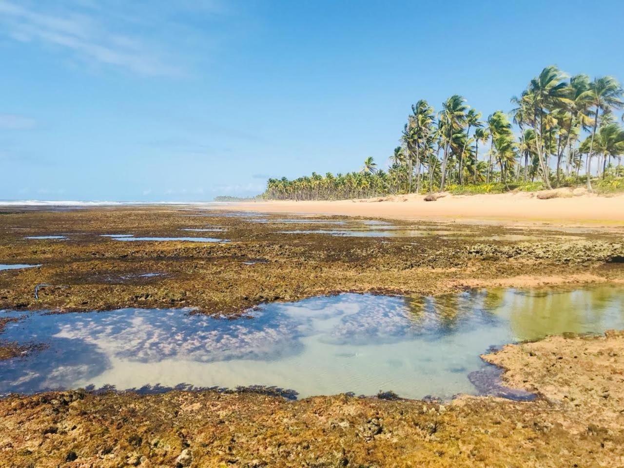 Pousada Velas E Vento - Barra Grande, Taipu De Fora, Marau Barra Grande (Bahia) Exterior foto